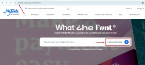 Cách tìm Font chữ bằng hình ảnh Online Hiệu Quả Nhất 2025