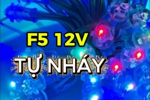 LED Đúc F5 12V Tự nháy - Không cần Mạch Điều Khiển