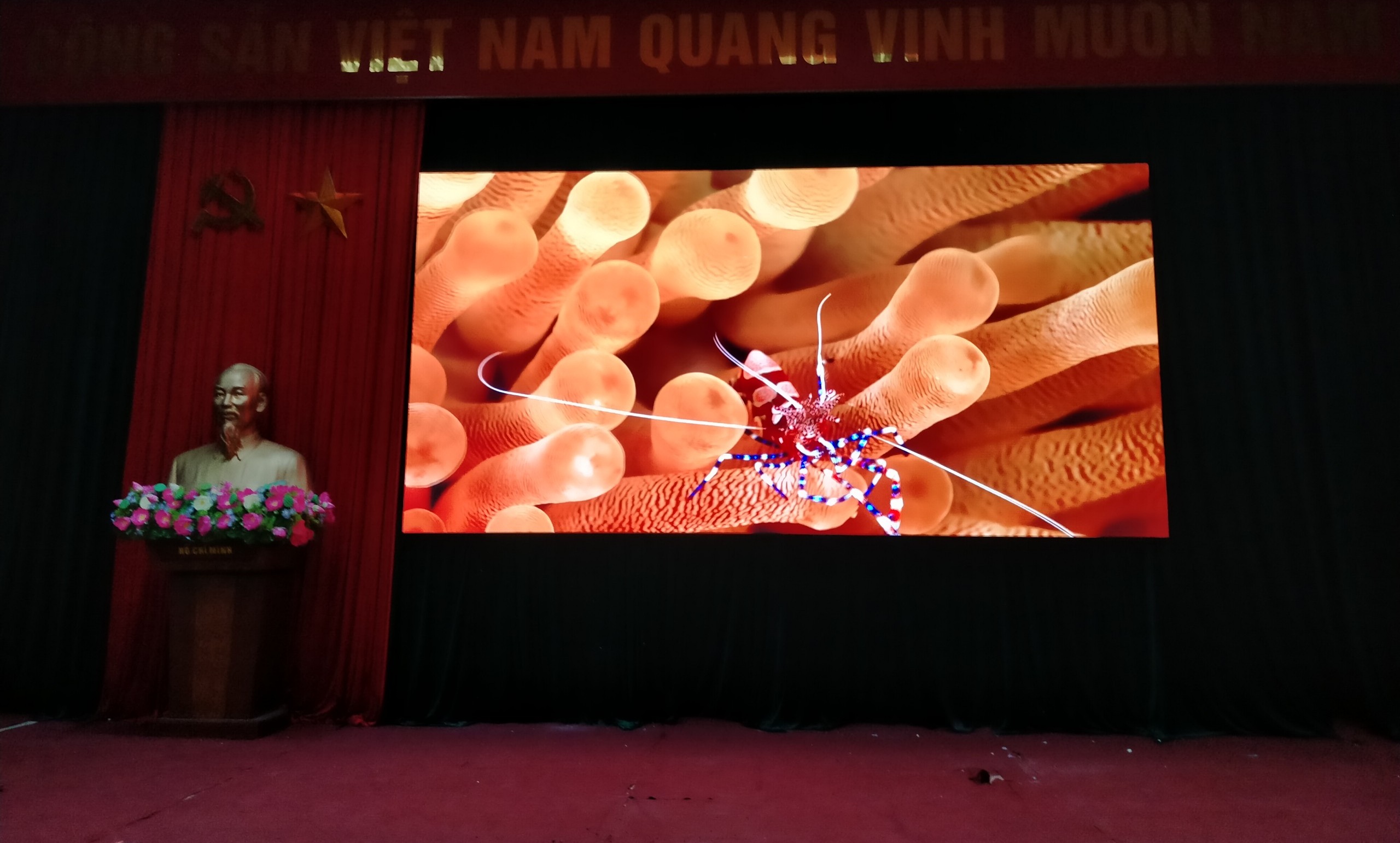 Tấm Module Led ma trận P1.25 full trong nhà