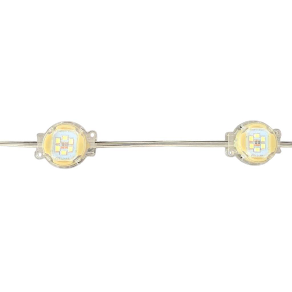 Nhà phân phối Led bát 30mm đầu trong 24V trắng ATX