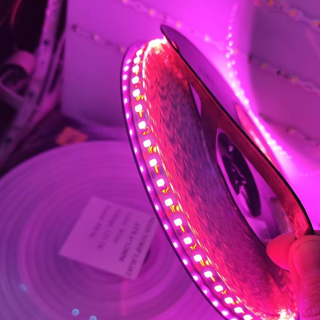 Led dây dán ziczac 12V 120 led hồng LIXIN ngoài trời chính hãng