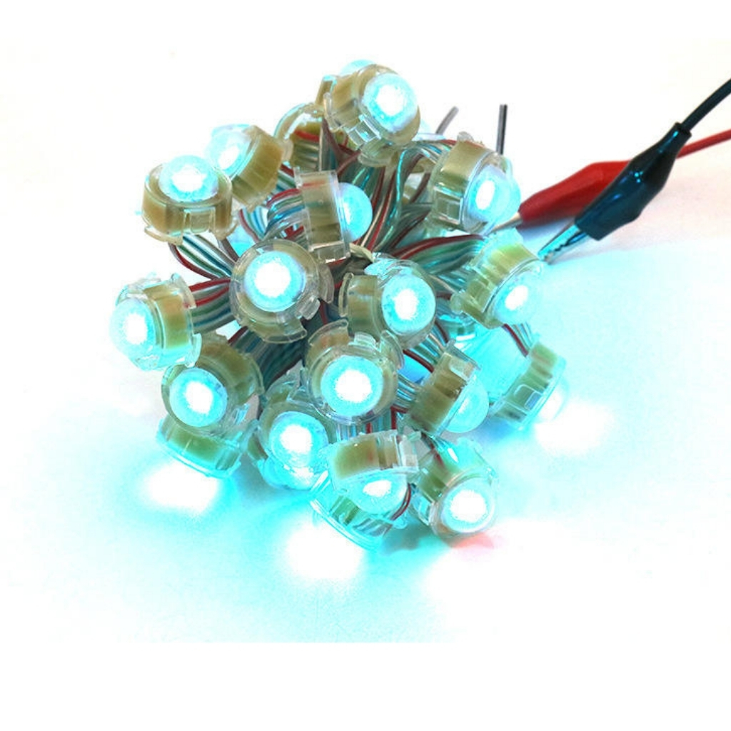 Kho Led đúc F20 Full color IC 8208 12V