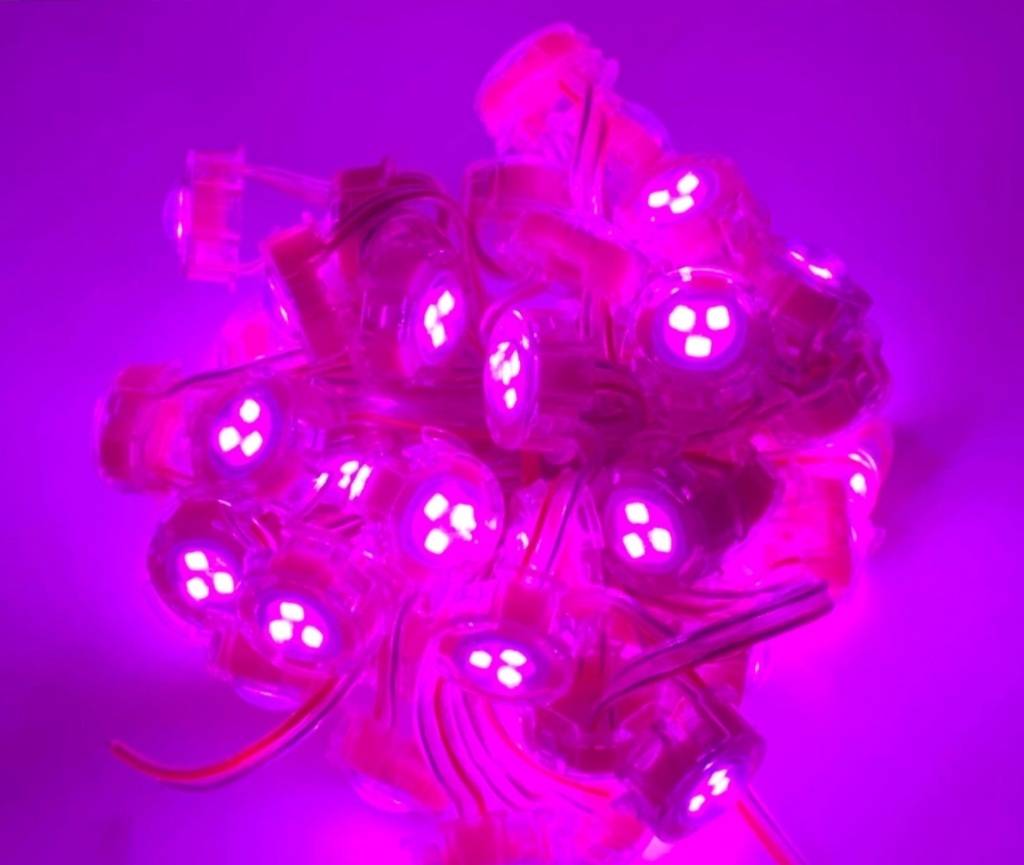 LED đúc F20 hồng (Led đúc D20) ngoài trời LD45 | LED Tubione