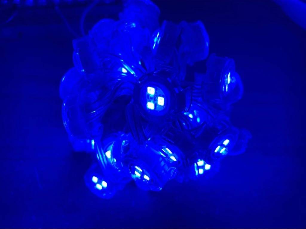 LED đúc F20 xanh dương (Led đúc D20) ngoài trời LD49 | LED Tubione