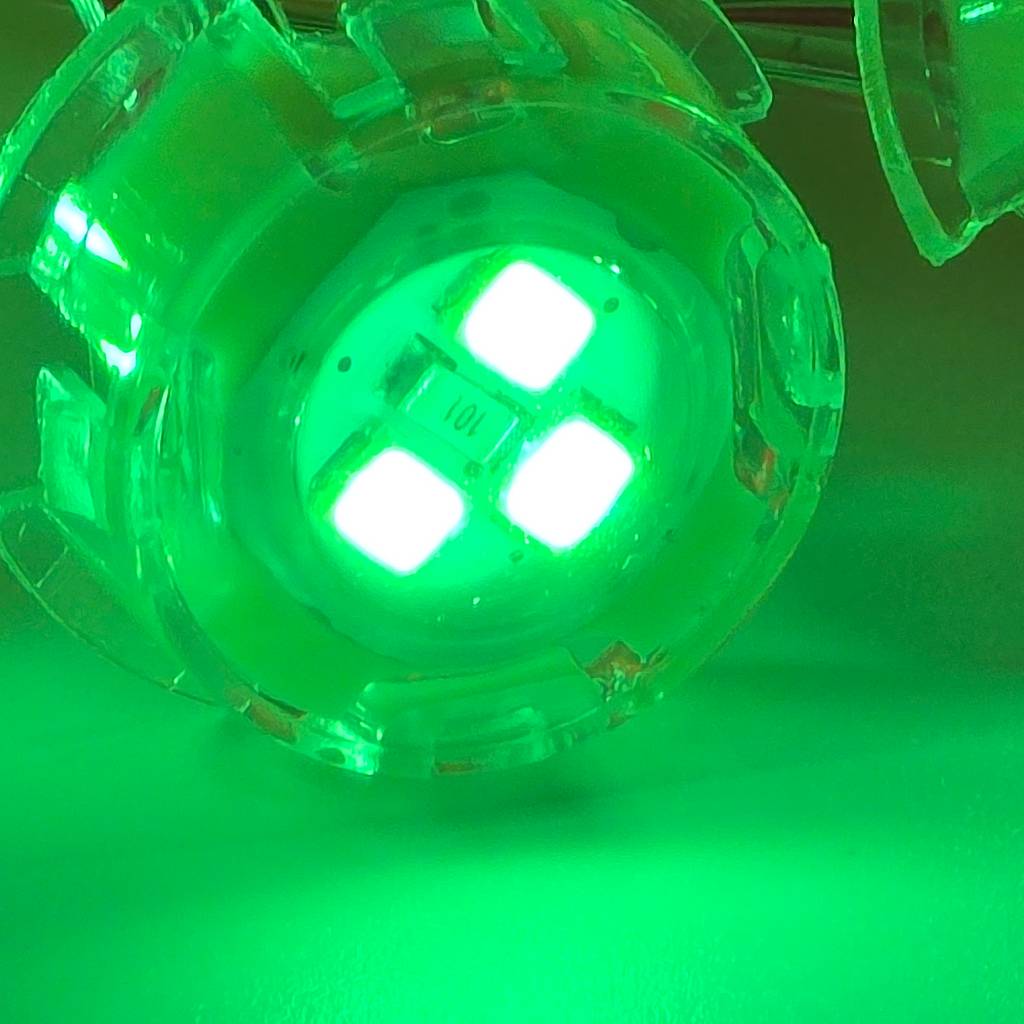 LED đúc F20 xanh lá (Led đúc D20) ngoài trời LD50 | LED Tubione