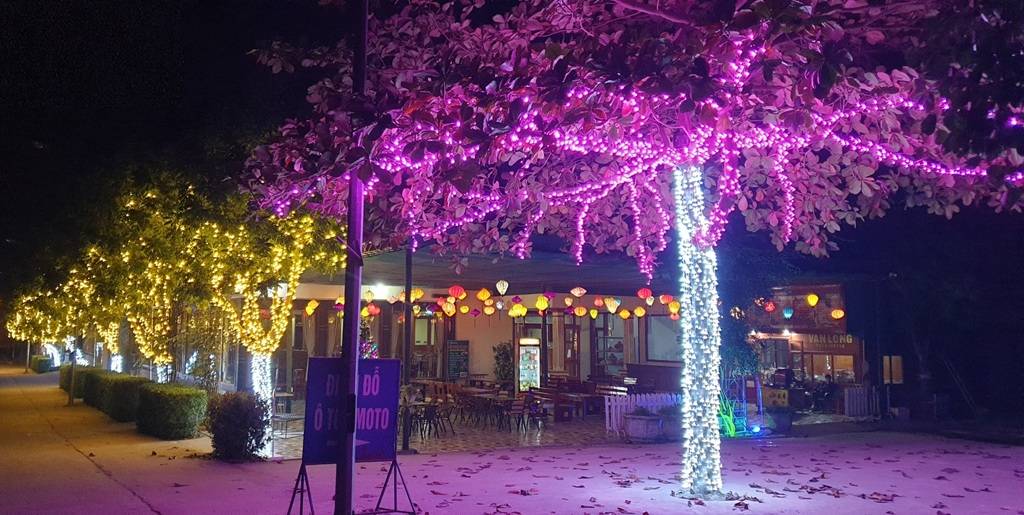 Led đúc F5 12V hồng TYY đế 9mm chính hãng