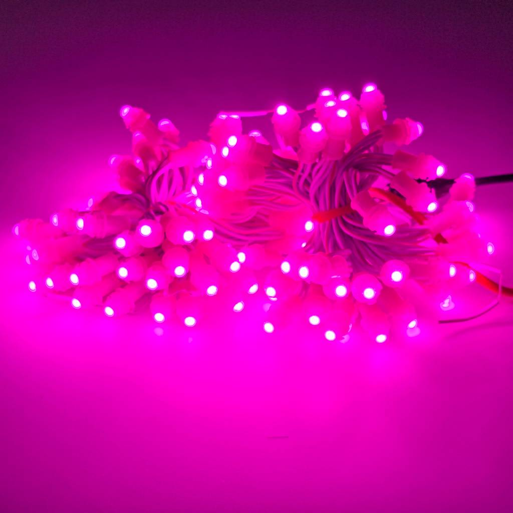 Kho Led đúc F5 12V hồng TYY đế 9mm