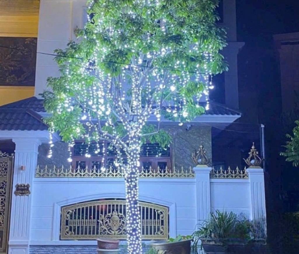 Led đúc module 5V trắng SMD đế 9mm 4 bóng