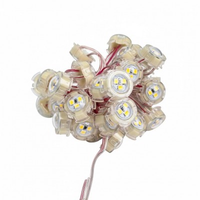 Led đúc F20 hồng LD45