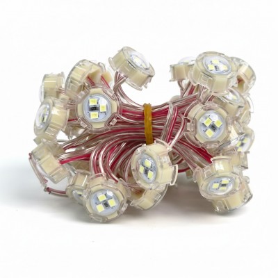 Led đúc F20 trắng LD46