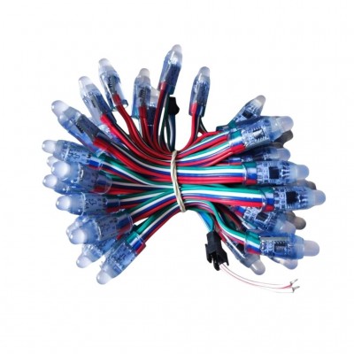 Led đúc F8 Full color IC 1916 5V LD63