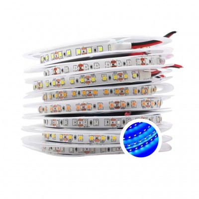 Led dây dán 2835 12V 120 Led xanh dương LS17