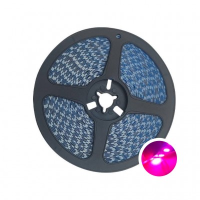 Led dây dán ziczac 2835 12V 120 Led hồng LS22