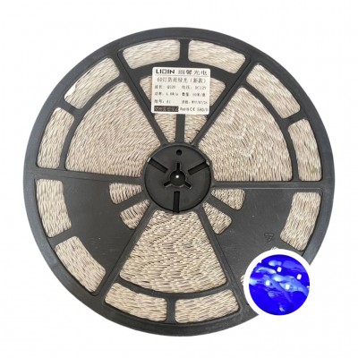 Led dây dán ziczac 12V 60 led xanh dương LIXIN ngoài trời LS38