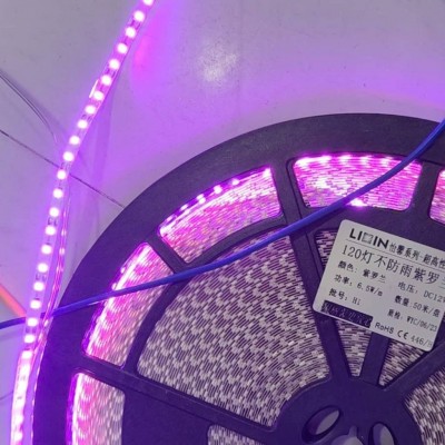 Led dây dán ziczac 12V 120 led tím LIXIN ngoài trời LS43