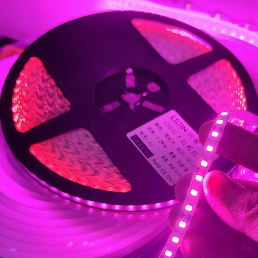 Led dây dán ziczac 12V 120 led hồng LIXIN ngoài trời LS42